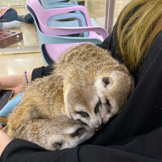단비k님이 올린 리뷰 사진 1
