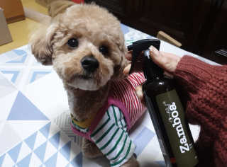 란아님이 올린 리뷰 사진 1