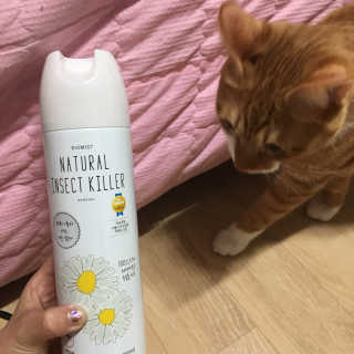 밍밍이이잉님이 올린 리뷰 사진 2