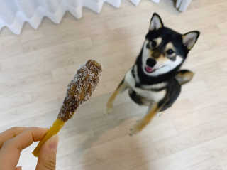 꾸딩님이 올린 리뷰 사진 3
