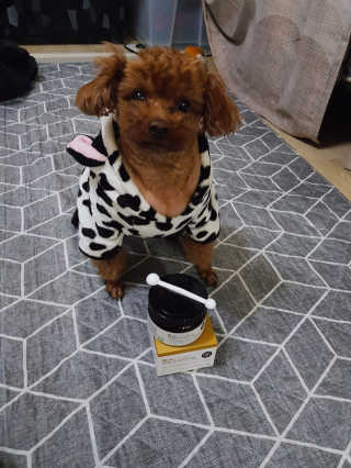 희야님이 올린 리뷰 사진 1