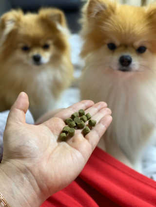 눕히님이 올린 리뷰 사진 2