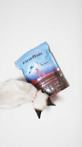 [펫토리아] 퍼스트메이트 고양이 사료 — 3점을 준 리뷰어가 2019년 3월 올린 사용 사진