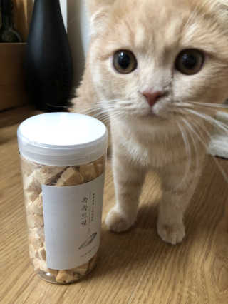 flowerblooming님이 올린 리뷰 사진 2