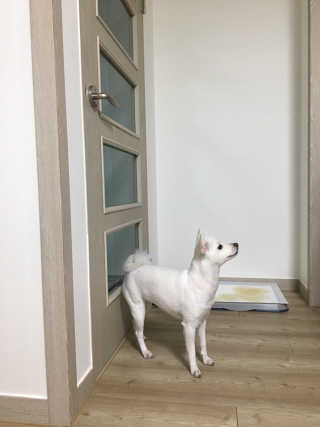 림짱님이 올린 리뷰 사진 2