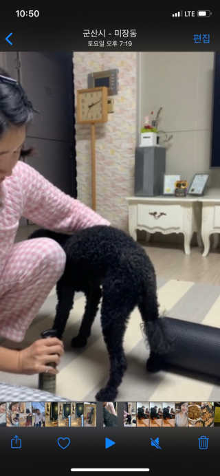 울몽돌님이 올린 리뷰 사진 2