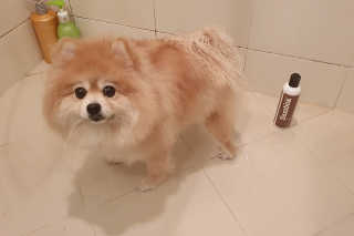 오크님이 올린 리뷰 사진 1