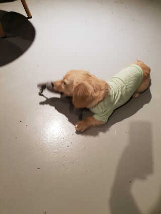 Uhhhhh님이 올린 리뷰 사진 2