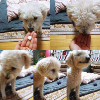 이린님이 올린 리뷰 사진 1