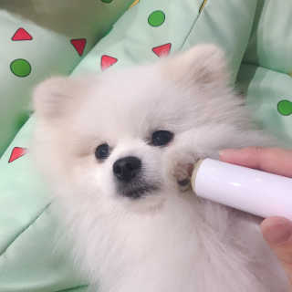제리톰레나님이 올린 리뷰 사진 3