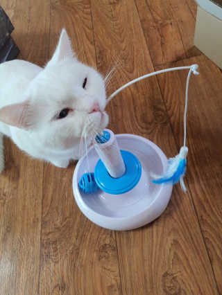 그리다님이 올린 리뷰 사진 3