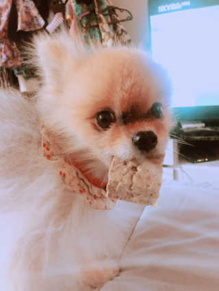 Honeyshop님이 올린 리뷰 사진 2