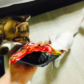 표나란님이 올린 리뷰 사진 2