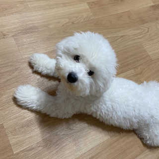 지니님이 올린 리뷰 사진 3