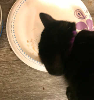 JsmilesUW님이 올린 리뷰 사진 2