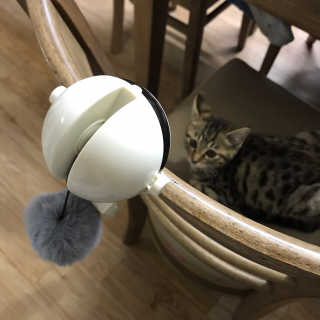 한솔🙄님이 올린 리뷰 사진 1