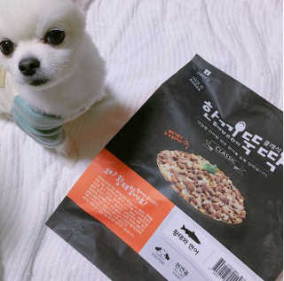 [펫토리아] 맛도 영양도 BEST 한끼뚝딱 강아지 사료 — 3점을 준 리뷰어가 2018년 12월 올린 사용 사진
