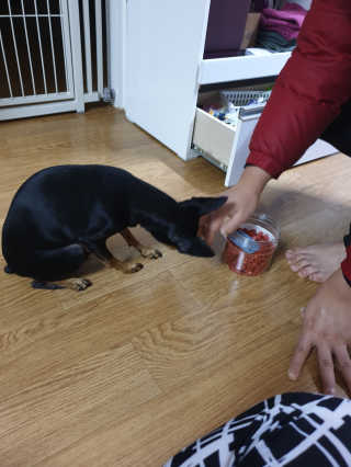 윤유림님이 올린 리뷰 사진 2