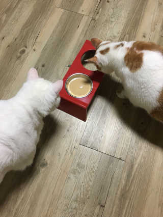 정선님이 올린 리뷰 사진 3