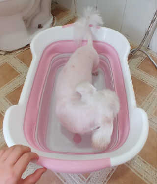 비커잠해피님이 올린 리뷰 사진 2