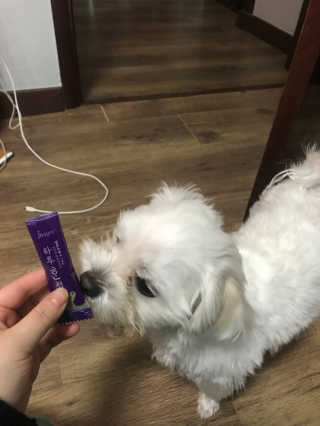 송희님이 올린 리뷰 사진 4