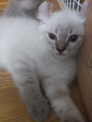 JiminKim님이 올린 리뷰 사진 2