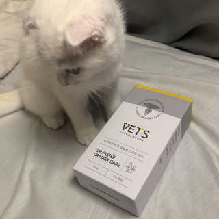 kittyiris님이 올린 리뷰 사진 1