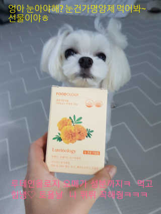 나란여자🤦‍♀️🤷‍♀️💁‍♀️님이 올린 리뷰 사진 1