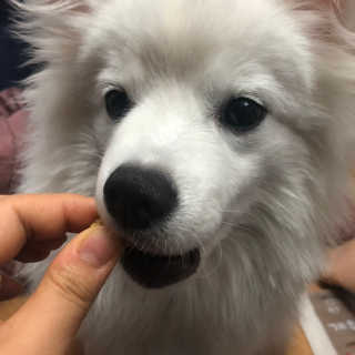 HeejinMoon님이 올린 리뷰 사진 3