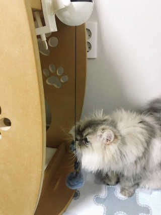 꼬끼오님이 올린 리뷰 사진 3