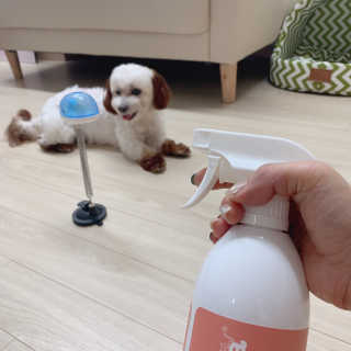 챔미님이 올린 리뷰 사진 3