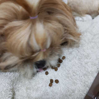 민준맘님이 올린 리뷰 사진 3