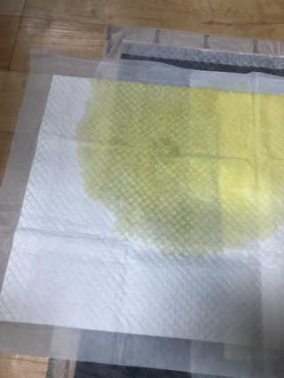 갱스님이 올린 리뷰 사진 3