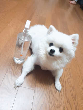 퀸민님이 올린 리뷰 사진 3