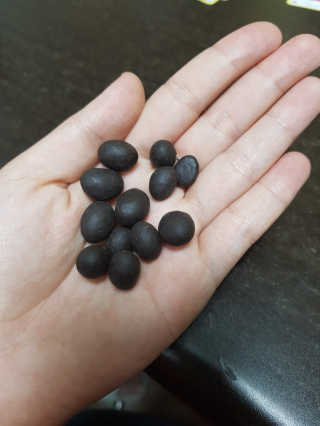 뭉치누나님이 올린 리뷰 사진 3