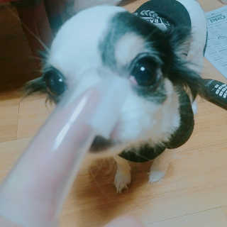 시애님이 올린 리뷰 사진 4