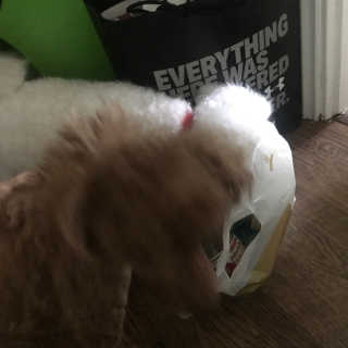 JjEe님이 올린 리뷰 사진 2