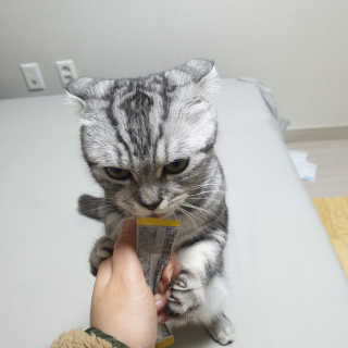 이째님이 올린 리뷰 사진 4