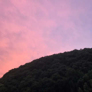 효웡님이 올린 리뷰 사진 2