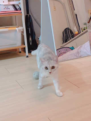 홍이님이 올린 리뷰 사진 3