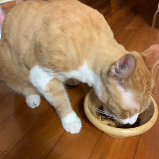 지나조이님이 올린 리뷰 사진 3