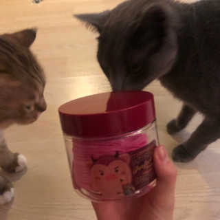 와죠도도맘님이 올린 리뷰 사진 3