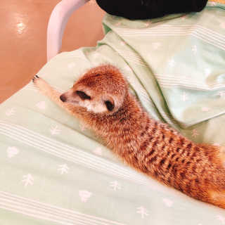 김채은님이 올린 리뷰 사진 2