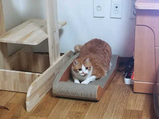 kayla님이 올린 리뷰 사진 2