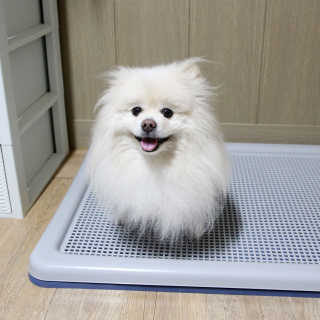 치리짱님이 올린 리뷰 사진 1