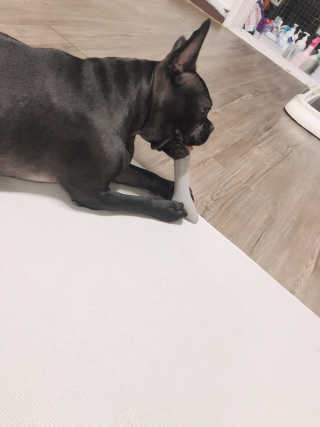 DooHeeHwang님이 올린 리뷰 사진 3