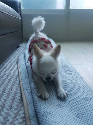 HeeMKwon님이 올린 리뷰 사진 3