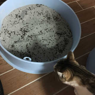 da0님이 올린 리뷰 사진 3