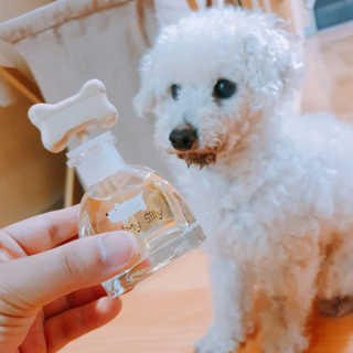 건빵속별사탕님이 올린 리뷰 사진 3