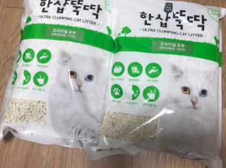 찐님이 올린 리뷰 사진 1